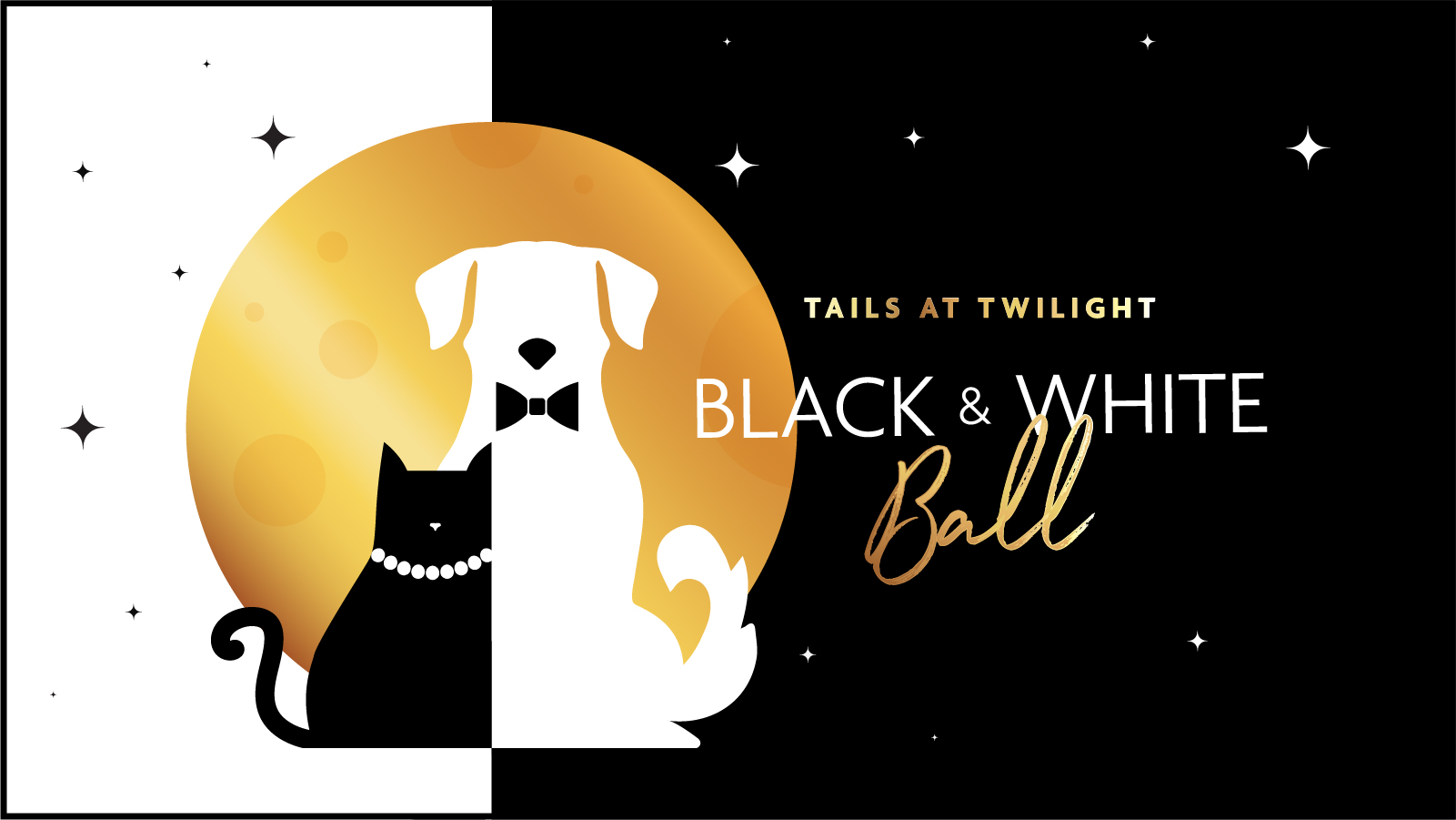 tails-at twilight-175.jpg